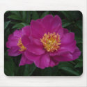 Pink Peony mousepads