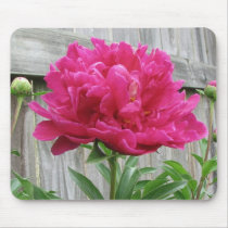 Pink Peony mousepads