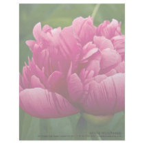 Pink Peony Personalized Letterhead