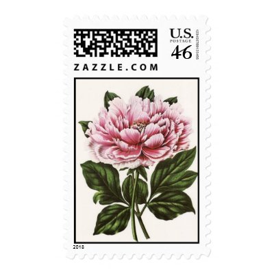 Pink Peony Postage Stamps