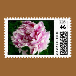Pink Peony postage