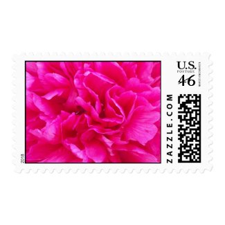 Pink Peony Postage stamp