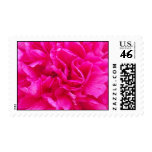 Pink Peony Postage
