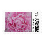 Pink Peony Postage