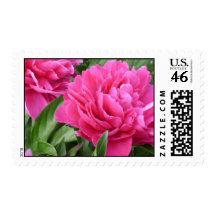 Pink Peony Postage