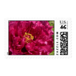 Pink Peony Postage
