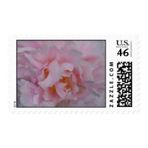 Pink Peony Postage