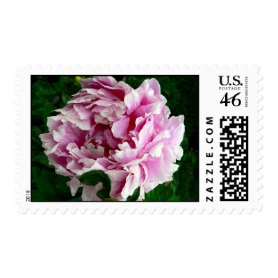 Pink Peony Postage Stamps