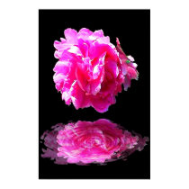 Pink Peony posters by deleas Pink Peony posters