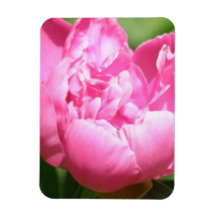 Pink Peony Premium Magnet
