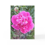 Pink Peony Rose Greeting Card *Customize* Pink Peony Rose Greeting Card *Customize*