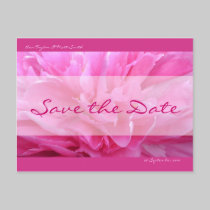 Pink Peony Save the Date Postcard postcards