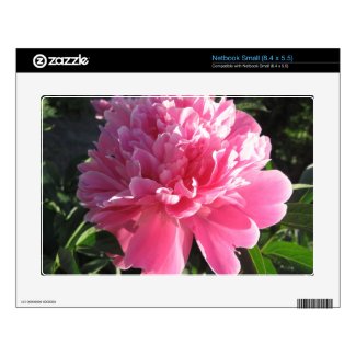 Pink Peony Skin For Small Netbook