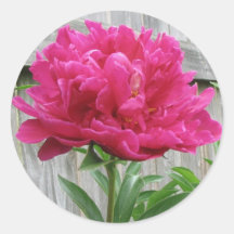 Pink Peony Sticker