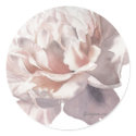 Pink Peony Stickers Wedding Personalized by lillyarts Pink Peony Stickers Wedding Personalized