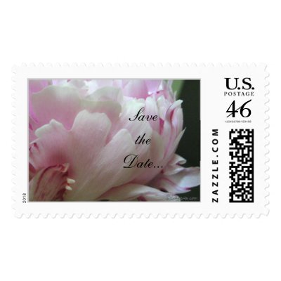 Pink Peony Wedding Invitation Postage Stamps by naturalilly