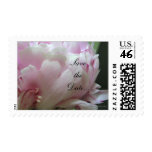 Pink Peony Wedding Invitation Postage Stamps