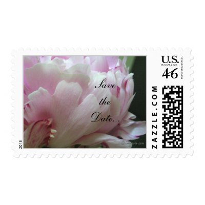 Pink Peony Wedding Invitation Postage Stamps