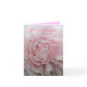 Pink Peony Wedding Invitation Template cards