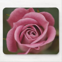 Pink Perfection Mousepad by bwmedia Pink Perfection Mousepad