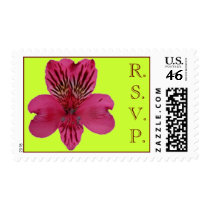 Pink Peruvian Lily R.S.V.P. Postage postage by JuJuGarden Pink Peruvian Lily R.S.V.P. Postage postage