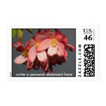 Pink Petals and Raindrops Stamp