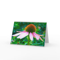 Pink Petals cards by TDSwhite Pink Petals cards