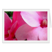 Pink Petals cards by mmargot Pink Petals cards