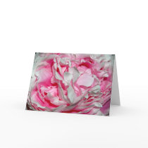 Pink Petals Greeting Cards by WesternWeddings Pink Petals Greeting Cards