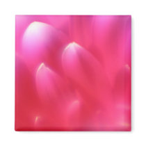 Pink Petals Magnet