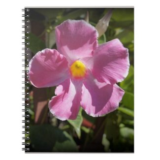 Pink Petals Spiral Notebooks