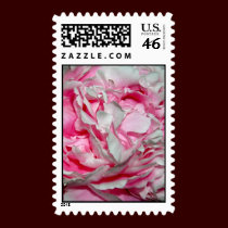 Pink Petals Postage postage