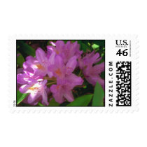 Pink Petals Postage Stamps stamps