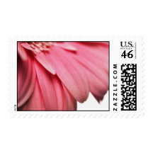 Pink Petals Postage Stamps