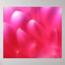 Pink Petals Poster/Print
