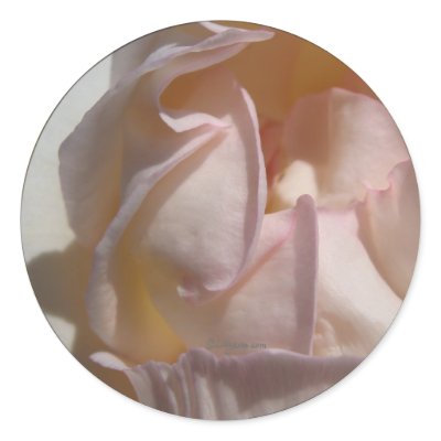 Pink Petals Rose Wedding Envelope Seal Sticker by naturalilly
