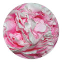 Pink Petals Stickers by WesternWeddings Pink Petals Stickers