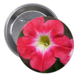 Pink Petunia buttons
