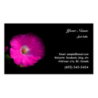 pink petunia flower business card templates