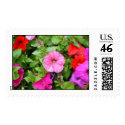 Pink Petunia postage by princessklb07 Pink Petunia postage