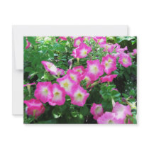 Pink Petunias invitations