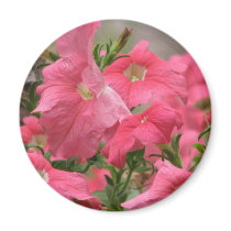 Pink Petunias magnets