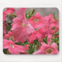 Pink Petunias mousepads