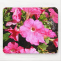 Pink Petunias mousepads by princessklb07 Pink Petunias mousepads