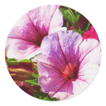 Pink Petunias stickers