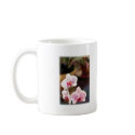 Pink Phaleonopsis Orchid Trio mugs