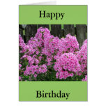 Pink Phlox and Fence Greeting Card