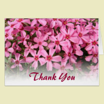 Pink Phlox cards