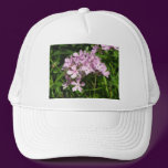 Pink Phlox Divaricata hats