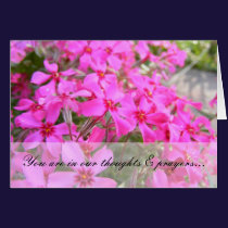 Pink Phlox Flowers Custom Card cards